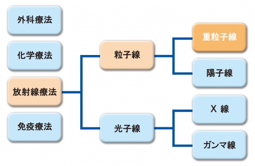 （図）主ながんの治療法